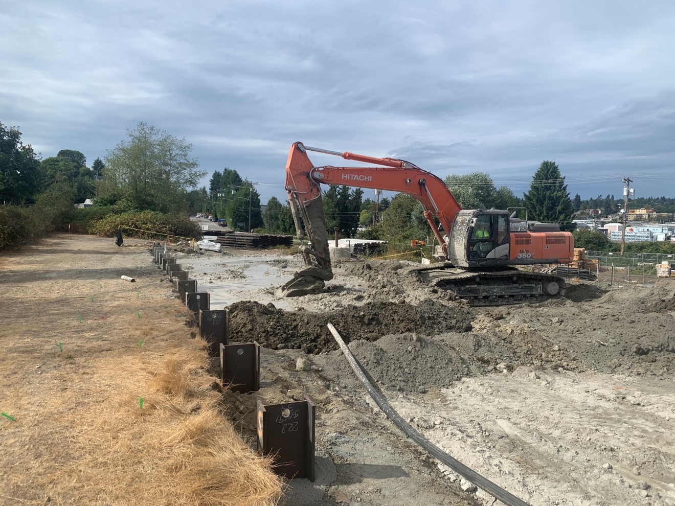 Brownfield Cleanup