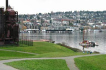 Urban Park Cleanup
